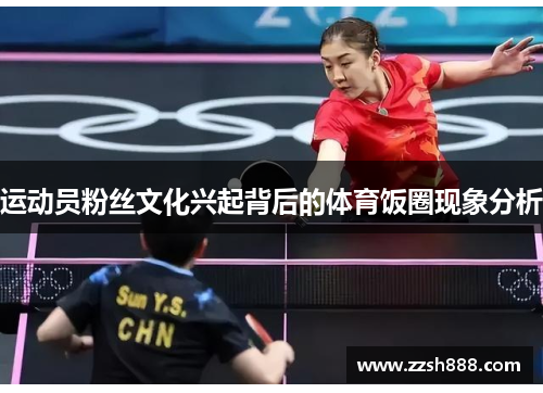 运动员粉丝文化兴起背后的体育饭圈现象分析