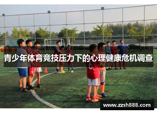青少年体育竞技压力下的心理健康危机调查