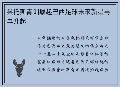 桑托斯青训崛起巴西足球未来新星冉冉升起